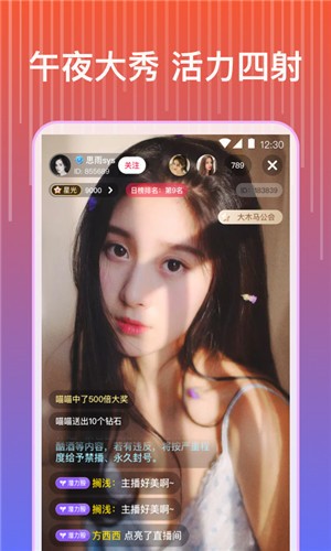 黄金网站app播放器本安装