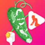 午夜视频app在线下载