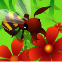 蜜蜂进化3D免费下载